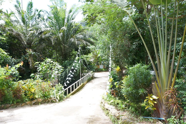 Tonphet Greenery Garden
