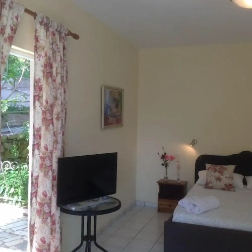 Standard room with balcony and with mountain view