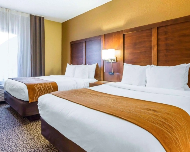 Quadruple Suite