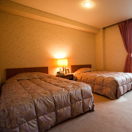 Standard Twin room with mountain view