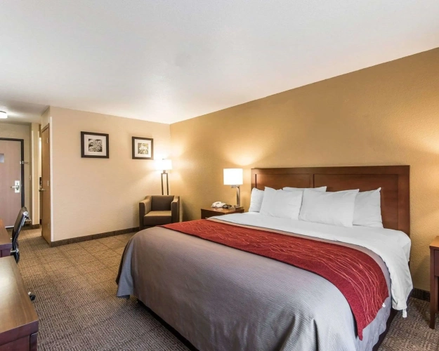 Standard Double room