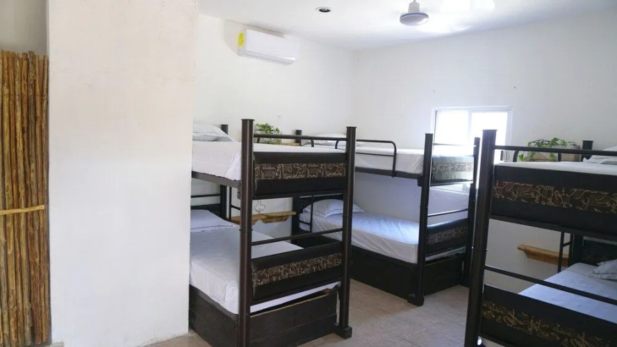 Coelum - Hostel