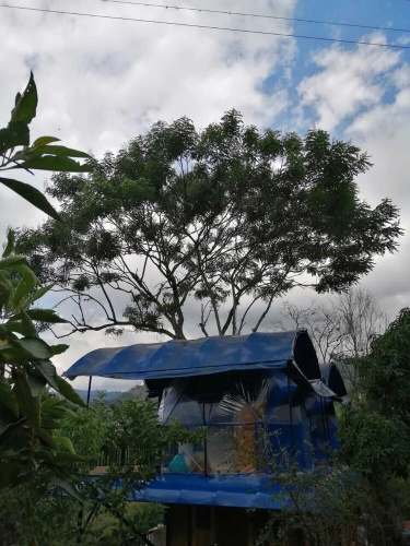 Hotel Villas De Rio Glamping & Camping