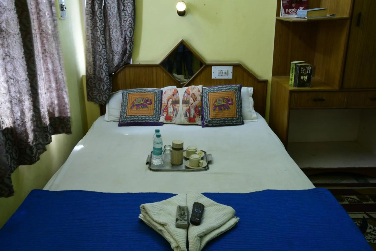 Hotel Bani Park Palace