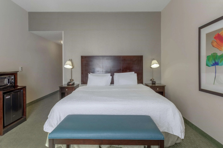 Hampton Inn Richmond - South