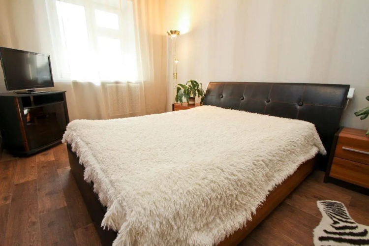 Фотография номера квартиры Harter Rooms на улице Просвещения 43