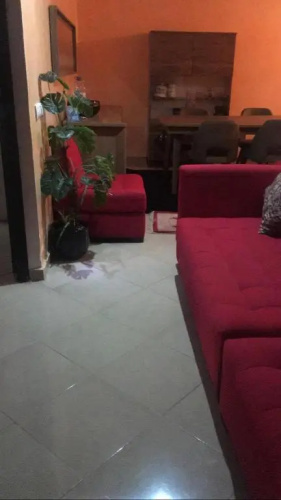 appartement sur mimosas