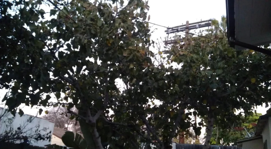 Oceana Los Angeles - Image 3