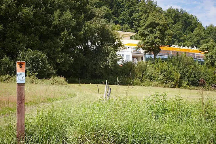 Pfalzblick
