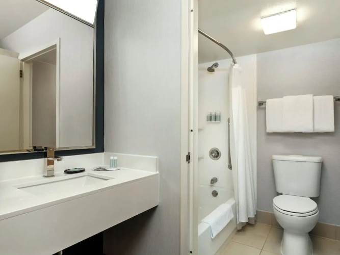 1 Bedroom Suite