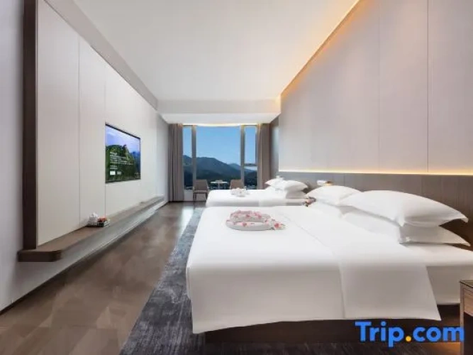 Double Suite with courtyard view