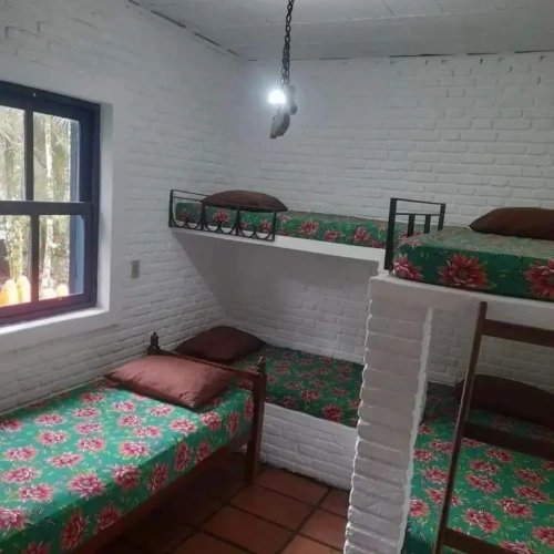 Bed in Dorm