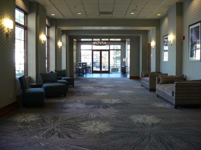 Hampton Inn Tropicana photo 18