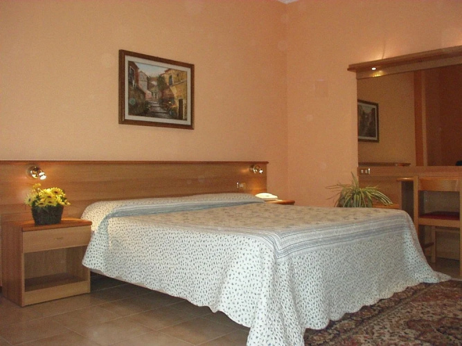 Hotel Salus