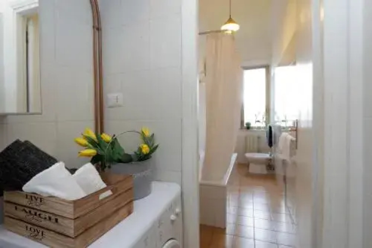 Central San Lorenzo Apartment