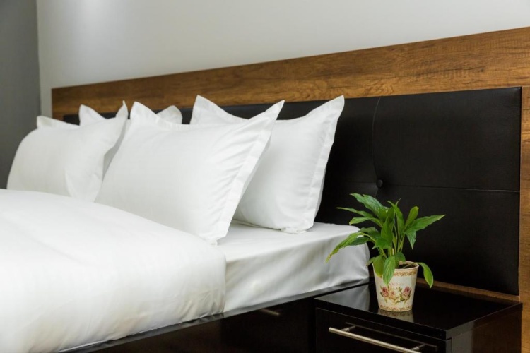 1 Bedroom Suite