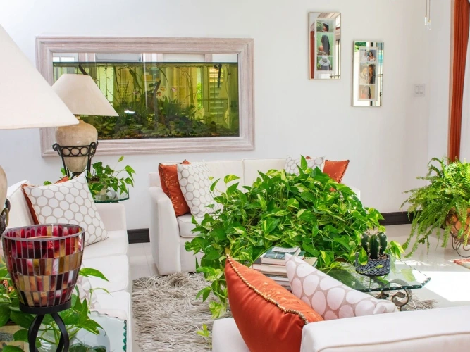 1 Bedroom Bed in Dorm with garden view