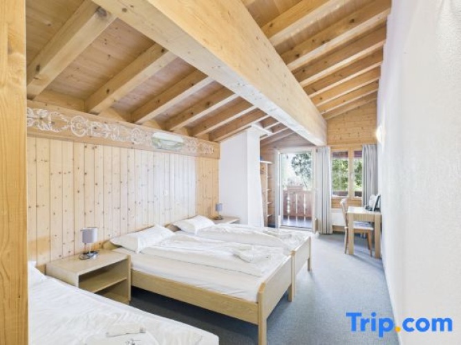 Standard Double room with balcony and with view