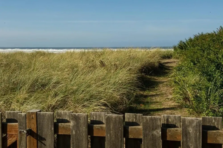 The Hamptons by RedAwning