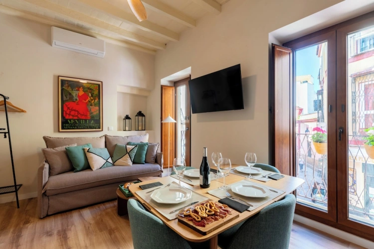 Luxury Apartment