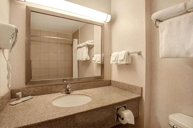 Deluxe Double Suite