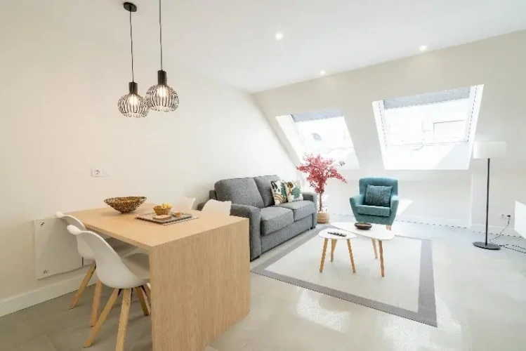 Luxury Apartment