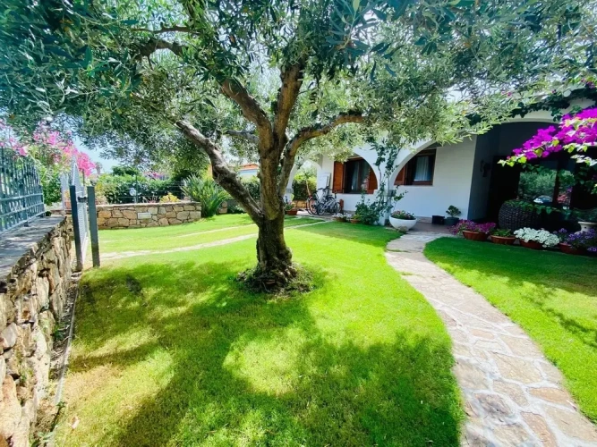 3 Bedrooms Luxury Villa