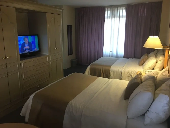 Executive Quadruple room