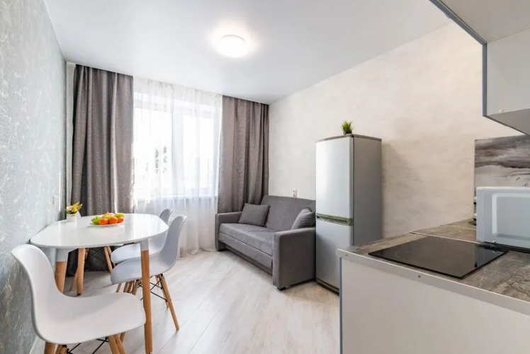 Фотография номера квартиры Апартаменты DreamHouse на Спутников