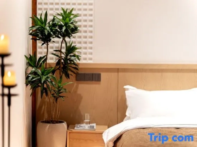 Standard Double room with courtyard view