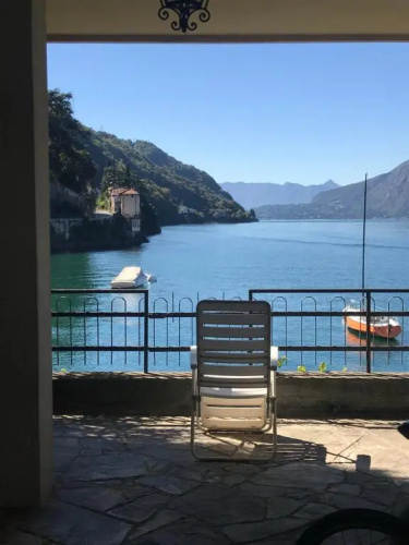 gli oleandri