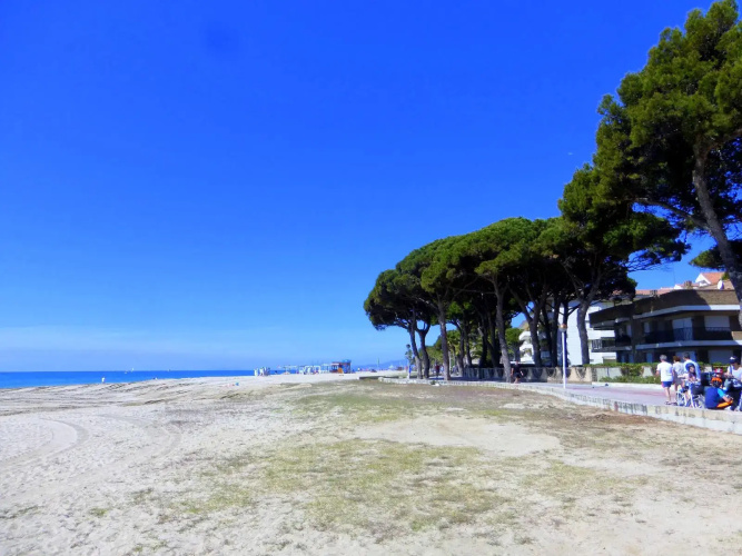 Apartamentos Pins Marina 24