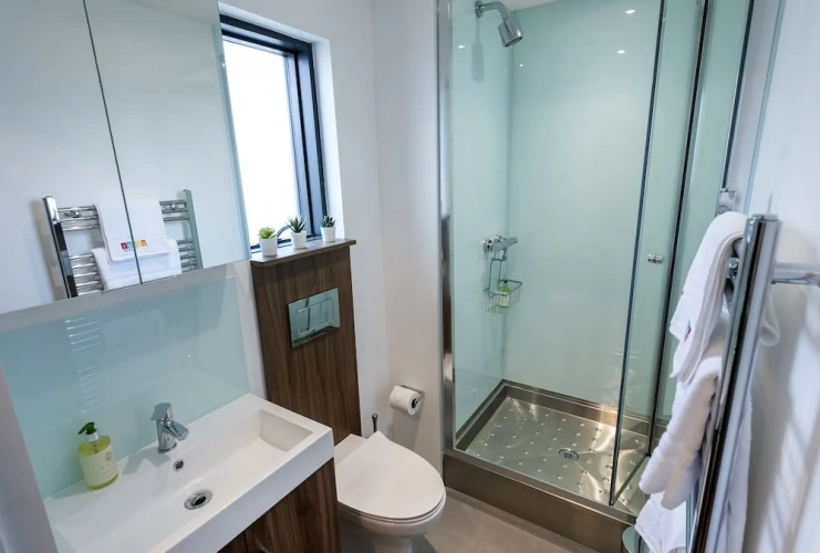 1 Bedroom Standard Apartment