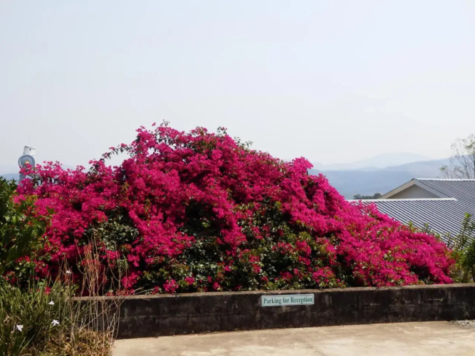 Sunset View Guest House