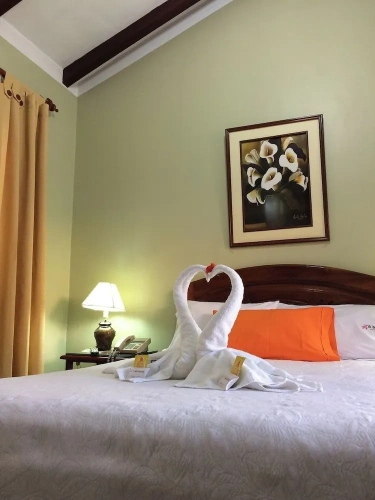 Standard Twin room with view