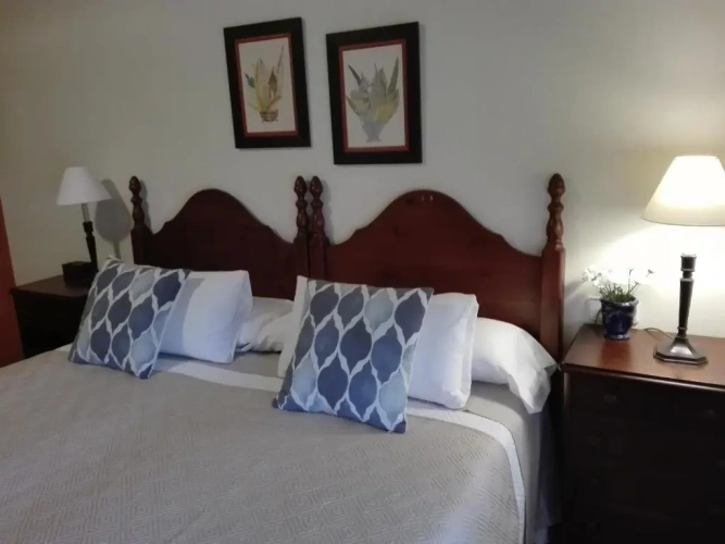 Standard Double room with garden view
