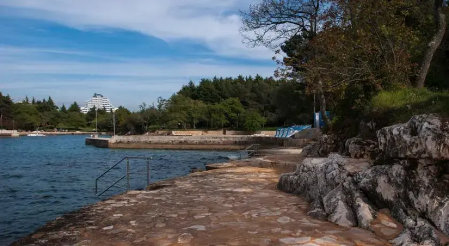 Guest house Pineta