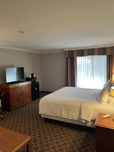 Hotel Xola