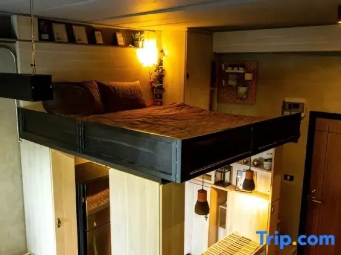 Standard Suite