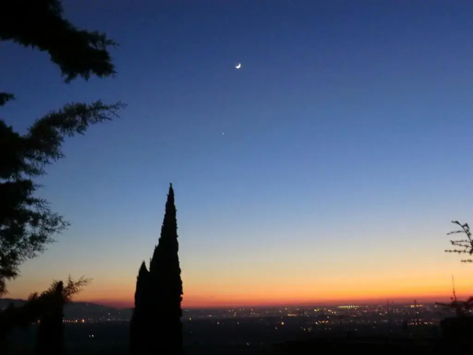 Il Giardino di Alisa