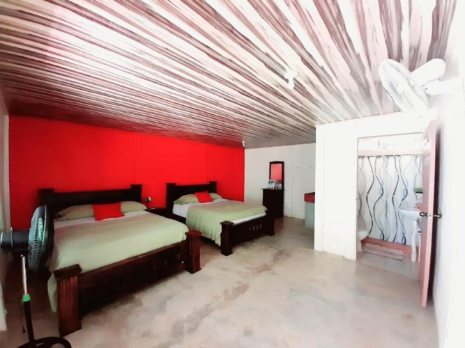 Standard Double room with garden view