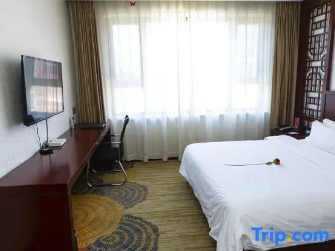 Superior Double Suite