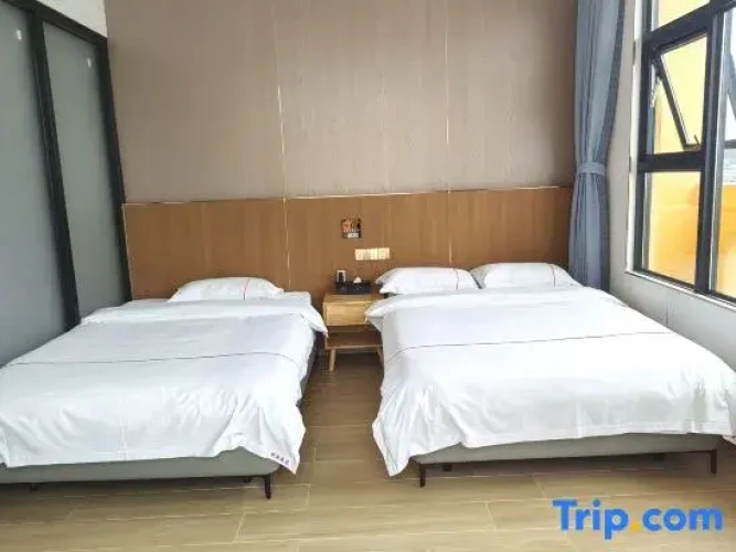 Standard Twin room with balcony and with sea view