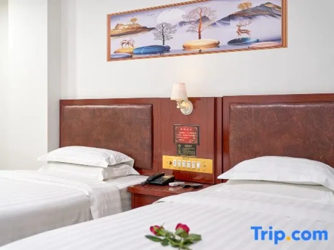 Economy Twin room