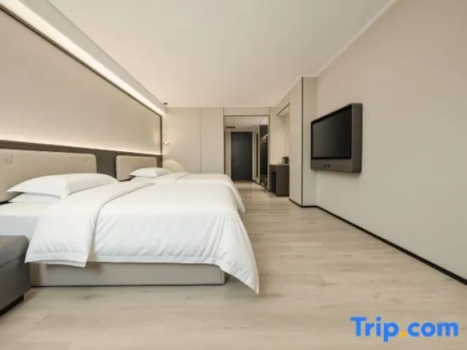 Standard Twin room with city view