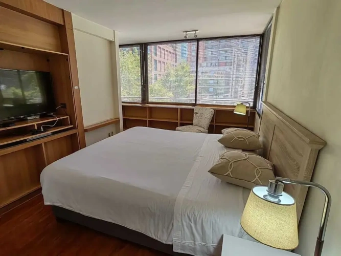 Premium Apartment