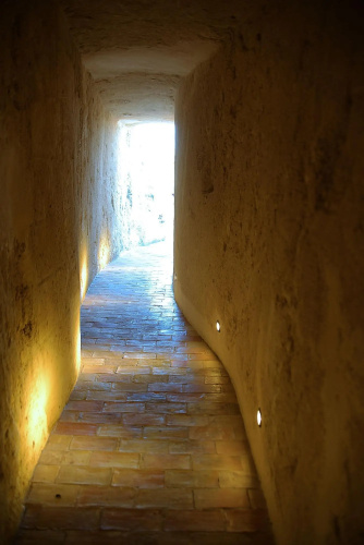 Il Belvedere photo 16