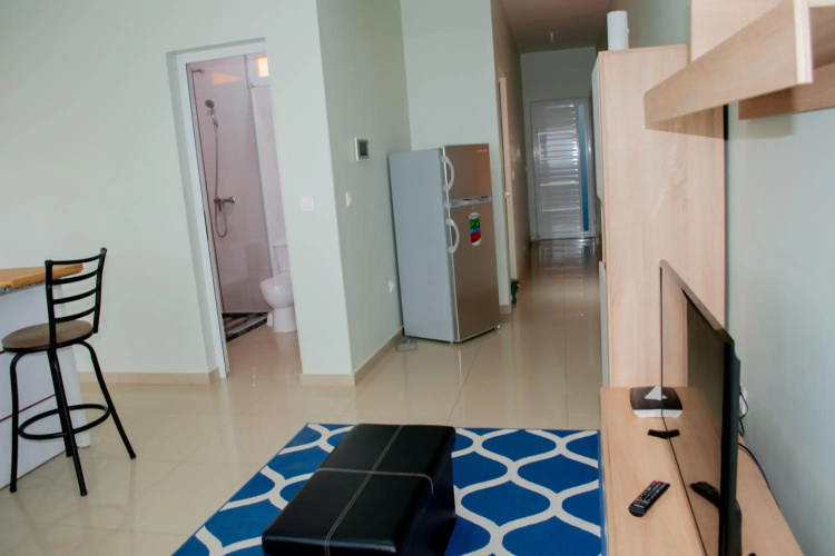 Comfortable cozy apartment