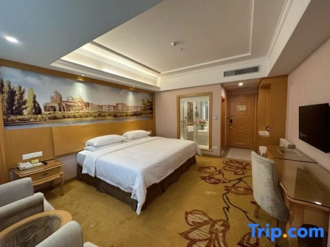 Comfort Double Family room