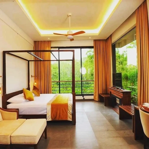 Deluxe room with land view
